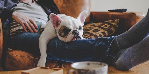 Planos Serie Statesman